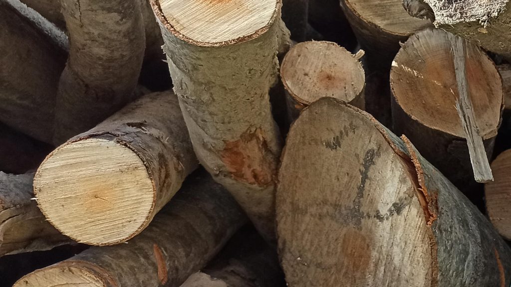 De ce este acum momentul ideal să cumperi lemnul de foc pentru iarna de peste doi ani?
